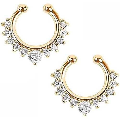Nose Ring Without Piercing - 2 PCS Clip On Nose Rings For Women Stainless Steel 8mm Fake Nose Rings Without Piercing For Girls 2 PCS