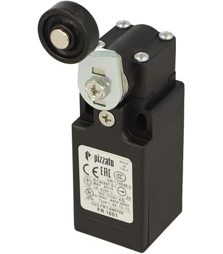 Interrupteur Terminal à Rouleau En Acier PIZZATO - Ø12mm - 10A - NC+NO X2 - IP67 - Pour Applications Industrielles