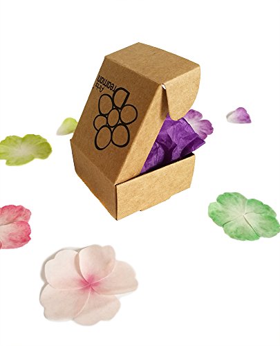 Dreaman - P  talos de Flores Adhesivos   Masking Tape   Pegatinas   Sticker 3D   Washi Tape   Cinta adhesiva   Etiqueta decorativa - Ideal para Decoraci  n   Creaci  n   Manualidad   Scrapbooking   DIY   Collage   Carta Postal   Tarjeta de cumplea  os   Regalo - Multicolor