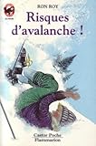 Risques d'avalanche !