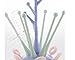 Tofern Fashion Multi feeding baby bottles drying rack system - Purple