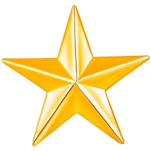 Mahi Shining Star Lapel Pin Badge for Men (PABP1101164PR)