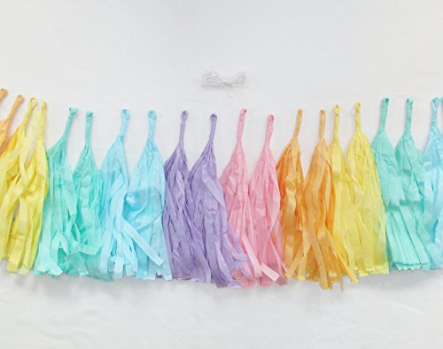 Fertige Pastell-Regenbogen-Farbene Fransen-Girlande – Tassel Girlande - 6