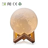 Lampada luna 3d FIFILARY USB luce lunare notturna a LED da tavolo magica regalo doppia tonalità sensore tocco con supporto in legno e scatolo portatile(10cm/3.95pollici)