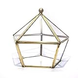 Recipiente de vidrio geométrico multifuncional: latón + vidrio, adecuado para cajas de presentación, cajas de boda;También se pueden utilizar como recipientes de vidrio para macetas para brindarle una decoración encantadora en el hogar.