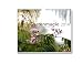 Gartenmagie 2014 - Kalender by
