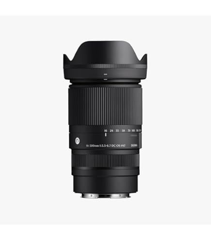 SIGMA 18-250mm F3.5-6.3 DC OS HSM ズームレンズ Amazon.co.jp: SIGMA 18-200mm F3.5-6.3 DC MACRO OS HSM