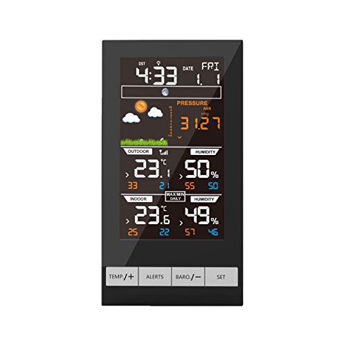 Funk Thermometer WH2800 TWIN (2 Displays) - 3