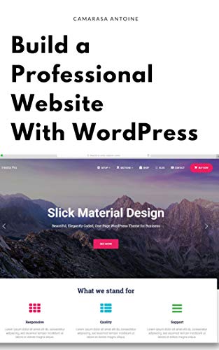 Build a professional website with wordpress (English Edition)