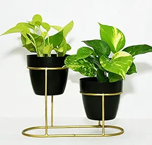 Planters with Stand for Living Room, Office Desk Planter Pot Set of 2 (Without Plants)