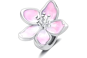 Symretie 925 Sterling Silver Charms and Pendants for Women’s Bracelets, Necklaces, Gifts, Turtle Ocean Charm