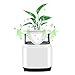 Produktbild Luftreiniger HEPA-Filter,Creative Air Cleaner Luftfilter mit abnehmbarem Blumentopf 3in1 Wahr HEPA Aktivkohlefilter Physikalische Anionen-Reinigung Bewegliches Luft-Ionisator für Home Staub Bakterien