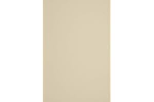 Netuno 100x Papel Reciclado Color Crudo DIN A4 210x297mm 110g Woodstock Betulla Papel Natural ecológico Vintage Artesanal para Impresora folletos Tarjetas Cartas proyectos DIY Insertos Manualidades