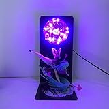 Acerca de la bombilla, sin estroboscopía, corriente constante, protección ocular Bombilla LED Dragon Ball, iluminación de 620 grados, protección suave de los ojos, baja temperatura, ahorro de energía no está caliente.