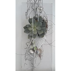 Wand-Deko Sukkulente