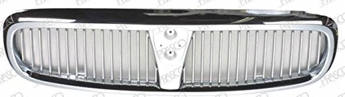 Preisvergleich Produktbild Stoßstange GITTER 63017061