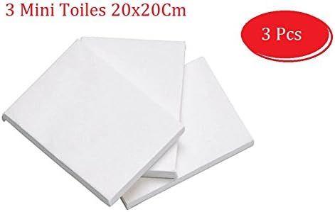 Lot de 3 Mini Toiles de Peinture20cmx20cm - Developpez la créativité de VOS Enfants - EMI Craft