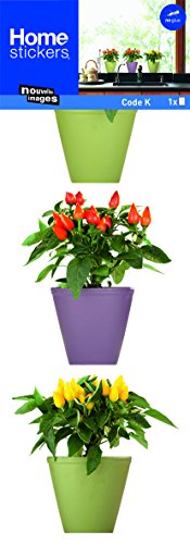 Preisvergleich Produktbild Fenstersticker Mini Paprikapflanze