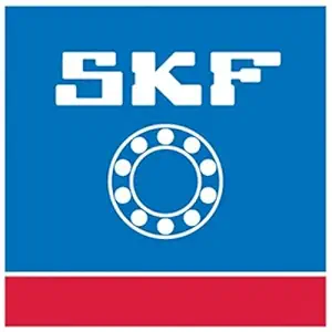 SKF 6205-2Z Deep Groove Ball Bearing (Silver)