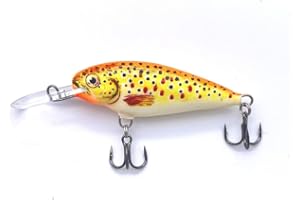 EVERBAY DORADO INVADER Fishing Lure- Hard Crankbait-Fishing Tackle, Topwater Life-Like Swimbait for Perch Pike Zander Trout Salmon Catfish Chub Barbel Trolling in Freshwater, Floating&Sinking Wobbler