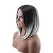 ROSENICE Synthetic Shoulder Length Fiber Straight Women's Ombre 2 Tones Full Wigs (Black + Light Gray)