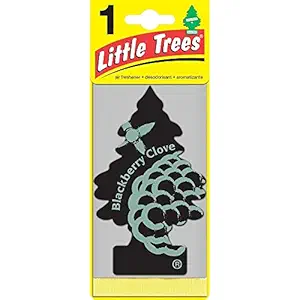 LITTLE TREES Car Air Freshener | Hanging Paper Tree for Home or Car | Blackberry Clove