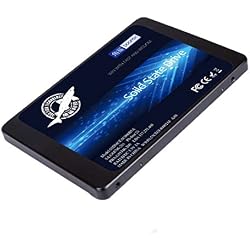 SSD SATA 2.5" 960GB Dogfish Unidad de Estado sólido Interna Unidad de Disco Duro de Alto Rendimiento para computadora portátil de Escritorio SATA III 6Gb / s SSD (960GB, 2.5''-SATA3)