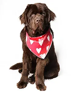 Valentines Day Heart Dog Bandana for Large Medium and Small Dogs (Medium)