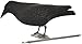 Produktbild Nitehawk - Krähenattrappe mit Füßen und Spieß - Beflockt - Für Jagd & Schießsport