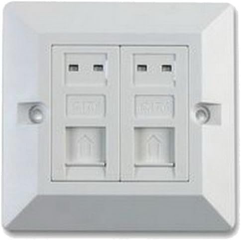 2 Port Cat 6 Wall Face Plate