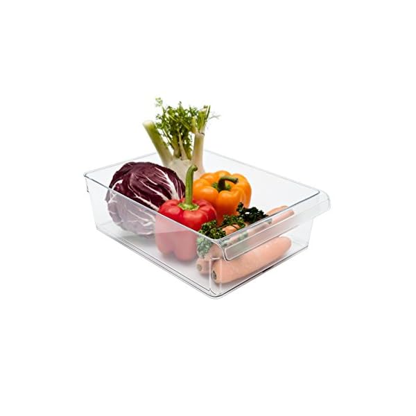 Rotho Loft Kühlschrank Organizer 5 L / Robuster Aufbewahrungsbehälter