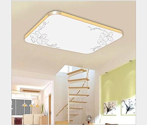 Anjz LED Ceiling Lights Flush Mount Ceiling Light for Living Room Bedroom Kitchen/Size:82cm*65cm
