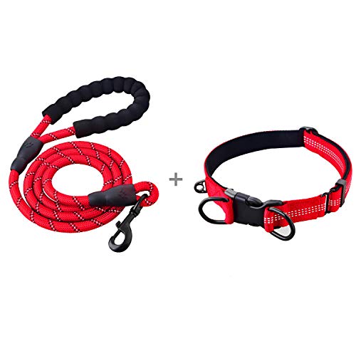 U-picks - Laisse et collier pour chien en corde solide avec collier de qualité - Confortable et réfléchissant - Pour chiens de taille moyenne et grande taille