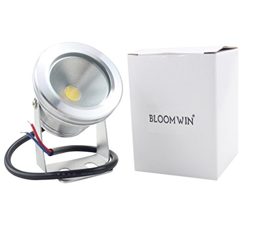 Bloomwin 12V 10W Warmweiß Teichlampen IP68 Poolbeleuchtung Teichbeleuchtung Unterwasserbeleuchtung für Teich, Brunnen, Pool, Gartenteich