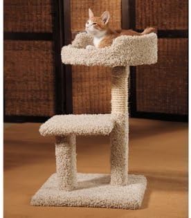 Claw Tuff Kitty Play Yard with Loft Bed