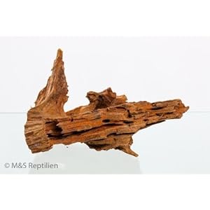 Mangrovenwurzel - small 20-30cm