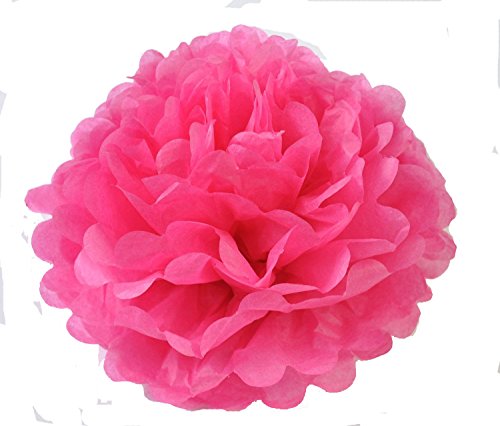 Freedom-vp Papier Pompom 12er 20cm/25cm Mixed DIY Papier Blumen PomPoms Zum Aufhängen Seidenpapier schöne Dekor für Geburtstag Hochzeitsfest Basteln Babyshower Dekoration Feier Party Baby-Duschen Brautduschen Wohnungdeko (Weiß-Pink-Rosa Rose) - 4