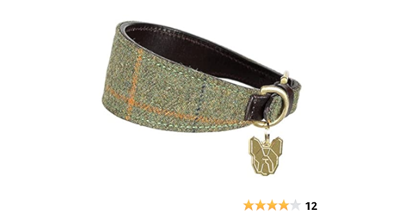 gucci dog collar amazon