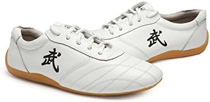 Jinji Unisex Adults Chinese Tai-Chi Wu Shu Kung Fu Shoes Basic Style for Daily Training Morning Exercises (EUR 40, White)
