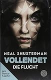Vollendet - Die Flucht (Band 1) by 