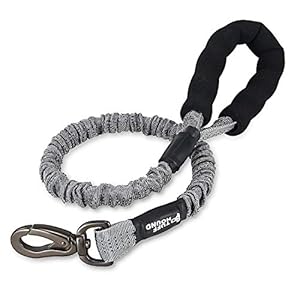 Petcomer Correas Entrenamiento para Perros Cuero Cómodo Ajustable Correa para Mascotas Grandes Medianos Extensión Fuerte Tensible Resistente Durable