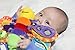 Lamaze Play & Grow Freddie the Firefly Take Along Toy Kids, Infant, Child, Baby Products