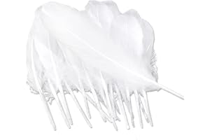 Dtoterul Weiße Federn 100 Stück Federn Zum Basteln Gänsefedern Weiß Bastelfedern Weiß Deko Federn Groß Weisse Federn Zum Basteln Dekorationen Federn für Kostüm Ohrringe Dekoration