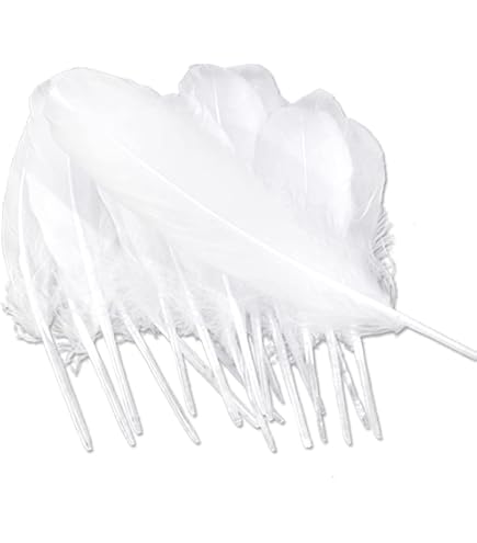 400 Plumes Blanches Naturelles EUPSIIU - Pour DIY, Déco, Attrape-Rêves, Mariage, 5-8cm
