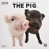 The Pig (BK) 227619 2019: Broschürenkalender mit Ferienterminen. Süße Nahaufnahmen von Ferkeln vor edlem weißen Hintergrund. 30 x 30 cm - Wandkalender by 