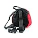 Smallwise Trading Toddler Safety Backpack with Harnesses Strap --- Great for Baby Walker Reins --- Lovely Ladybird Design