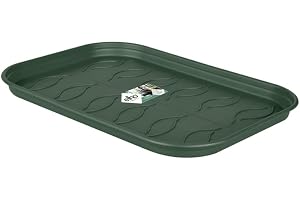 Elho Green Basics Odlingsbricka tallrik 36 – tallrik för inomhus- och skördetillbehör – Ø 36.0 x H 2,2 cm – bladgrön