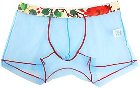 Wentan339 Men Sexy See-Through Underwear Boxer Briefs Shorts Bulge Pouch Soft Underpants