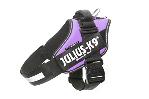 Julius K9 16IDC-PR-2 IDC-Powerharness, Size: 2, Purple, M, Morado