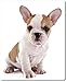 Price comparison product image Mouse Mat [27] – French Bulldog puppy dog sitting